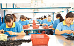 In addition to the side by hand